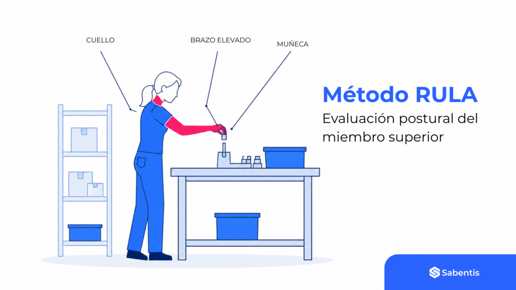 RULA method used to assess the postural load of the upper limb