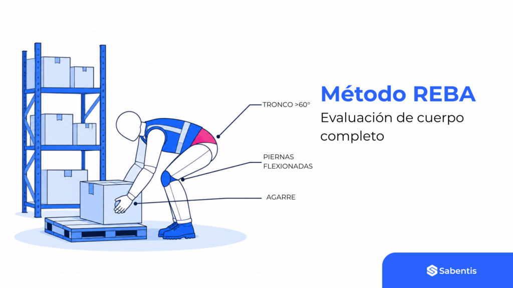 REBA method for whole body ergonomic assessment