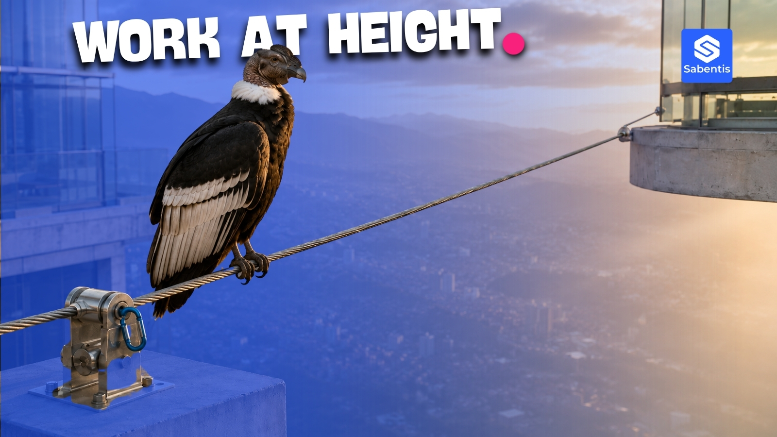 Andean condor on a lifeline with a certified anchor, symbol of work at heights in Colombia
