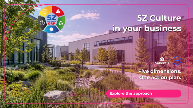5Z Culture in your business: five dimensions, one action plan.