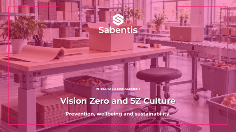 Vision Zero and 5Z Culture: prevention, wellbeing and sustainability.