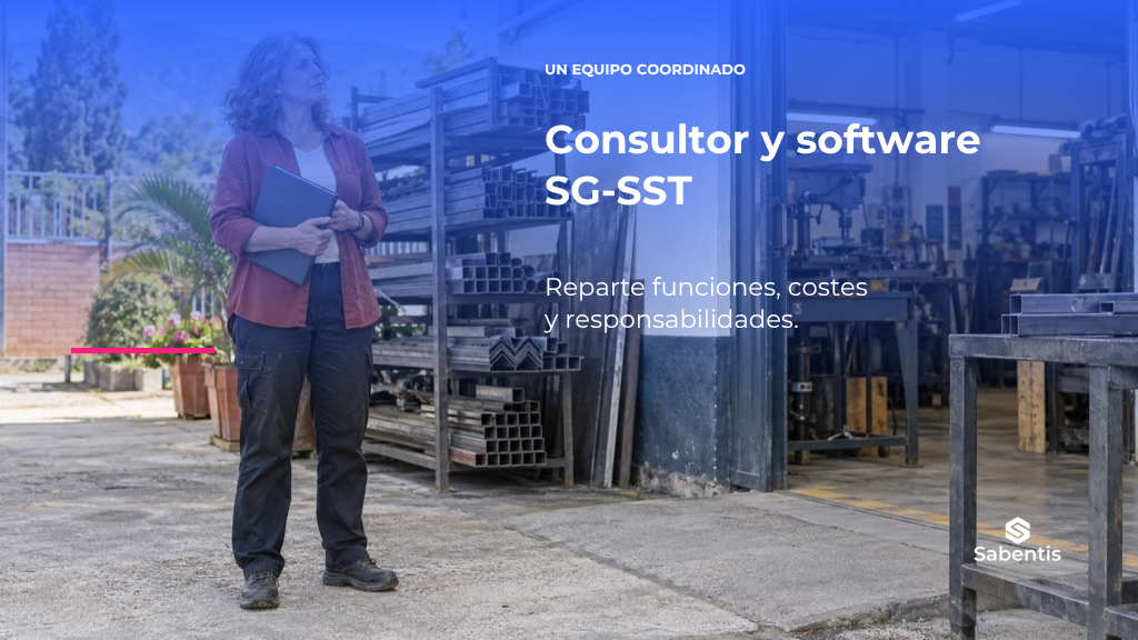 Consultor de SG-SST y software: cómo repartir funciones, costes y responsabilidades