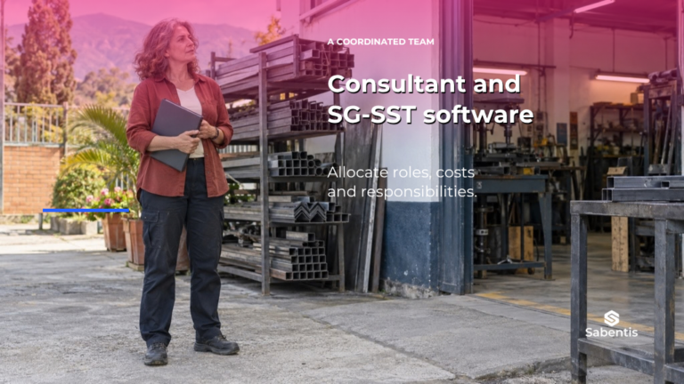 An SG-SST consultant and software: allocating work, costs and responsibilities