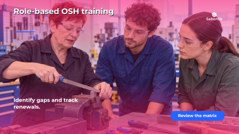A job-based OSH training matrix: identifying gaps and managing renewals in Spain